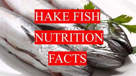 hake fish|Top 11 Hake fish Nutrition facts and Health benefits.